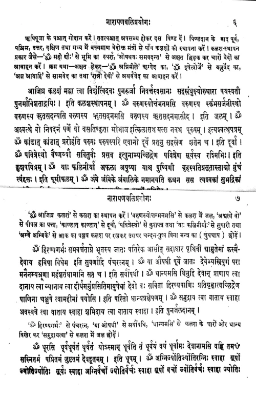 Narayanabali Prayoga